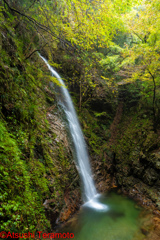 払沢の滝