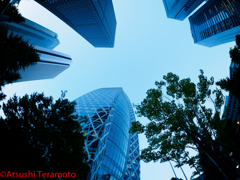 たわむれです・・・