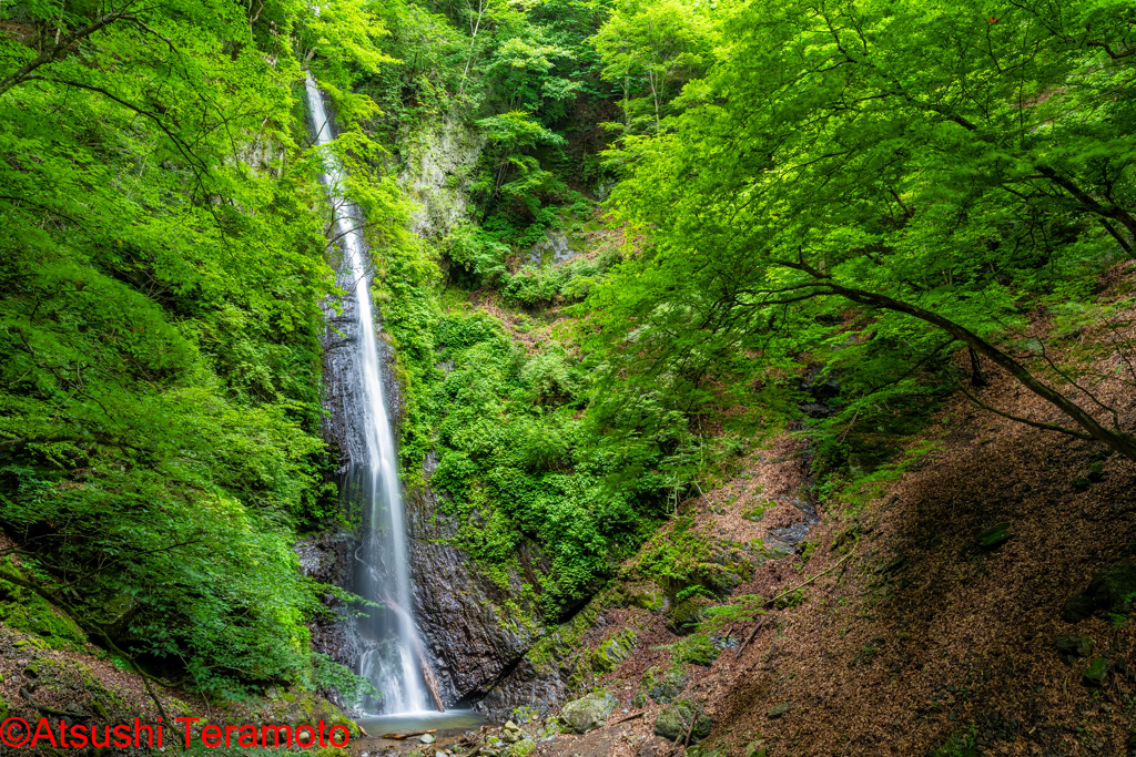 白糸の滝