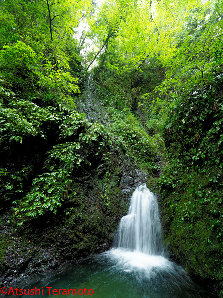 金剛の滝（下段：雌滝）通常撮影