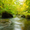 青森県・奥入瀬渓流にて