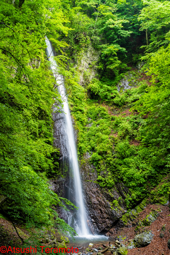 白糸の滝