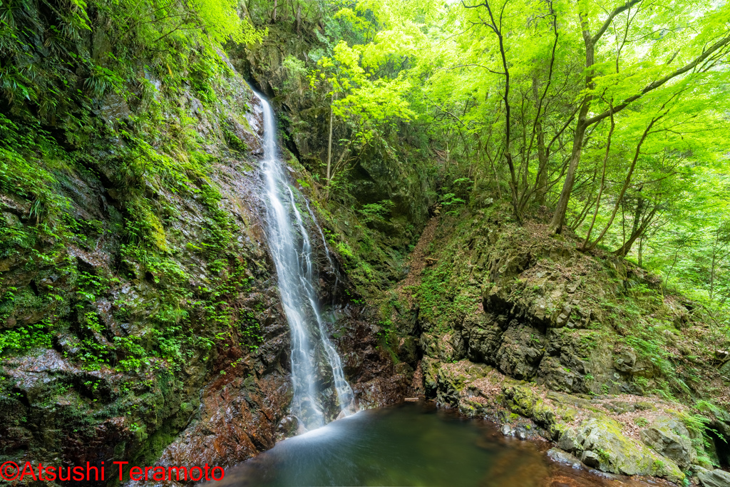 払沢の滝