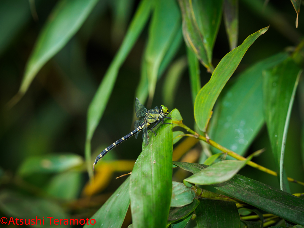 ナゼ、ココに・・・？