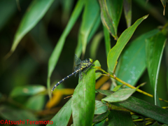 ナゼ、ココに・・・？