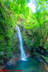 払沢の滝