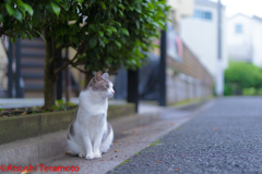 視線の先には・・・