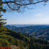 登山中の風景