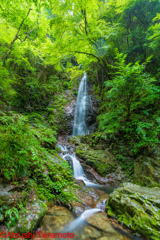 払沢の滝