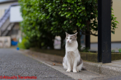 雨上がりのパトロール