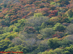 赤城山