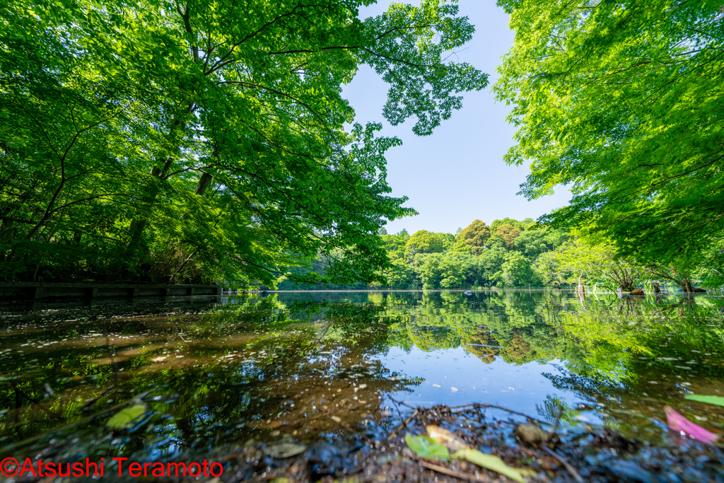 都市公園　お散歩スナップ