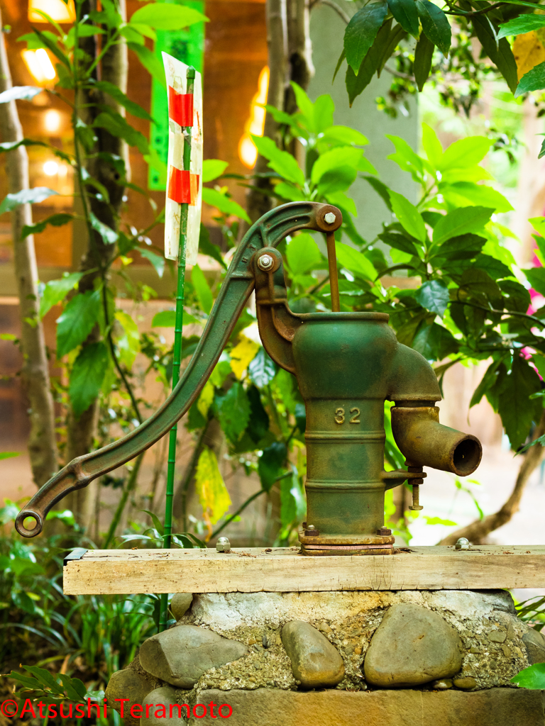 井の頭恩賜公園散策