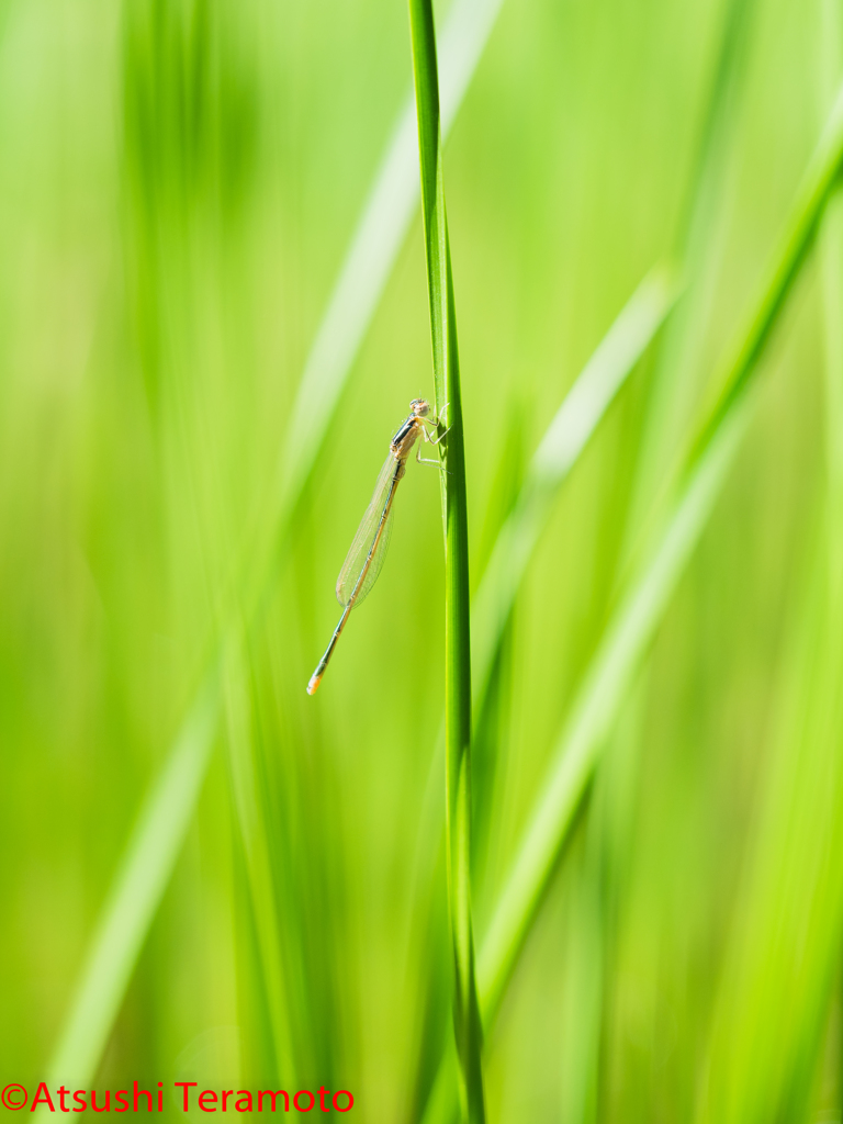 朝陽を浴びて・・・