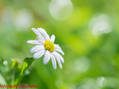 たまには・・・