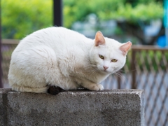 久々のご訪問・・・