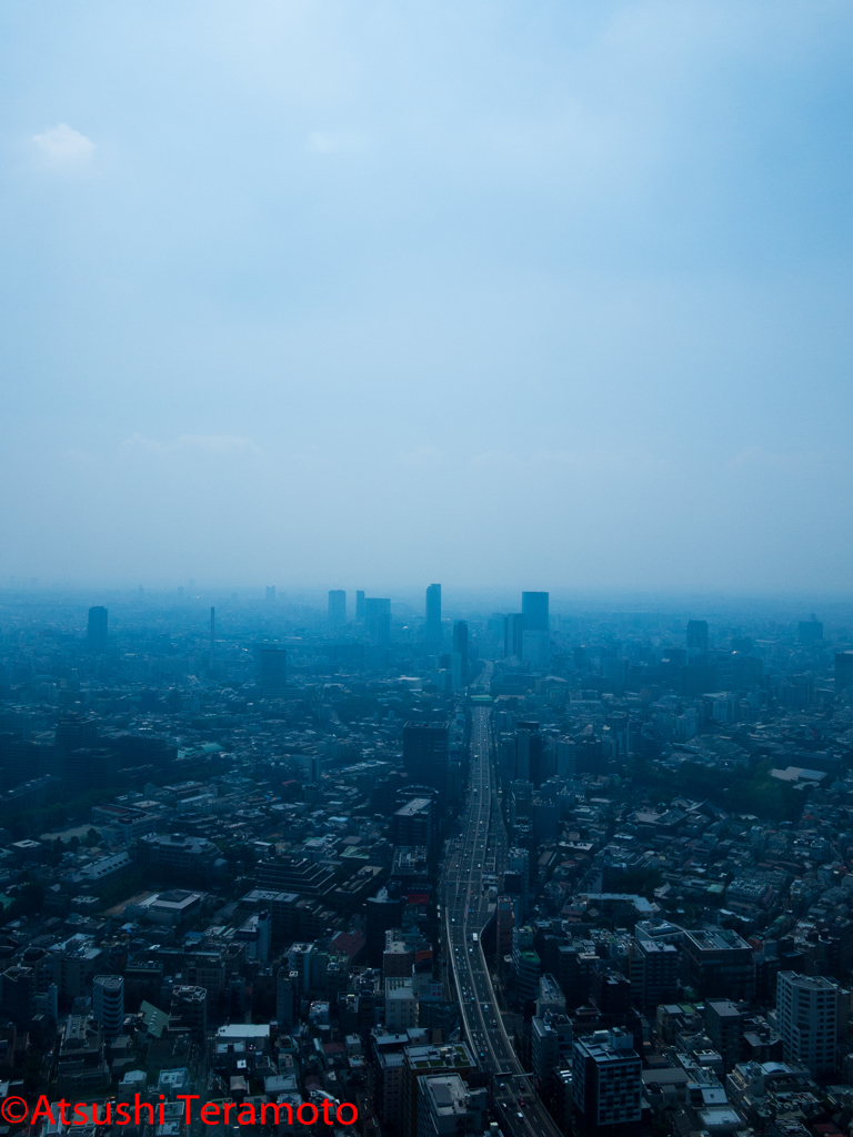 会社の所要にて・・・