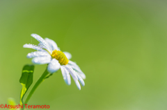 たまには・・・