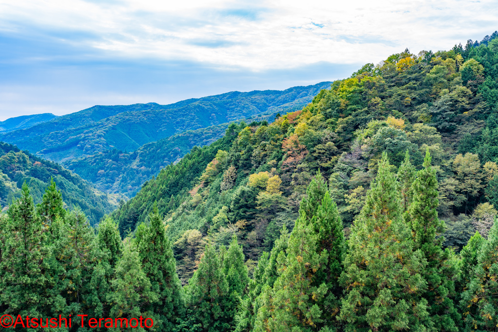 登山中の風景