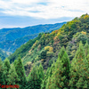 登山中の風景