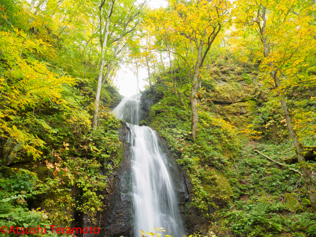 青森県・奥入瀬渓流にて