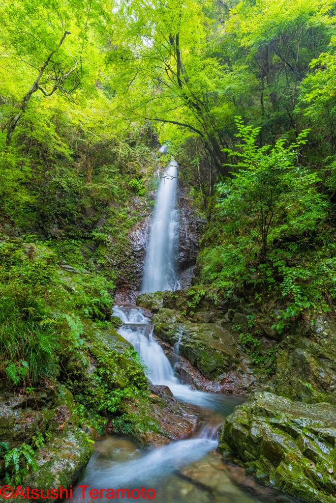 払沢の滝