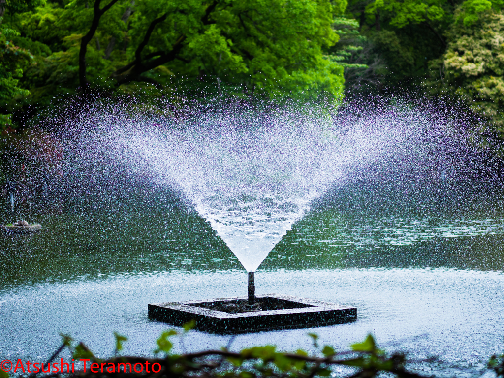 井の頭恩賜公園散策