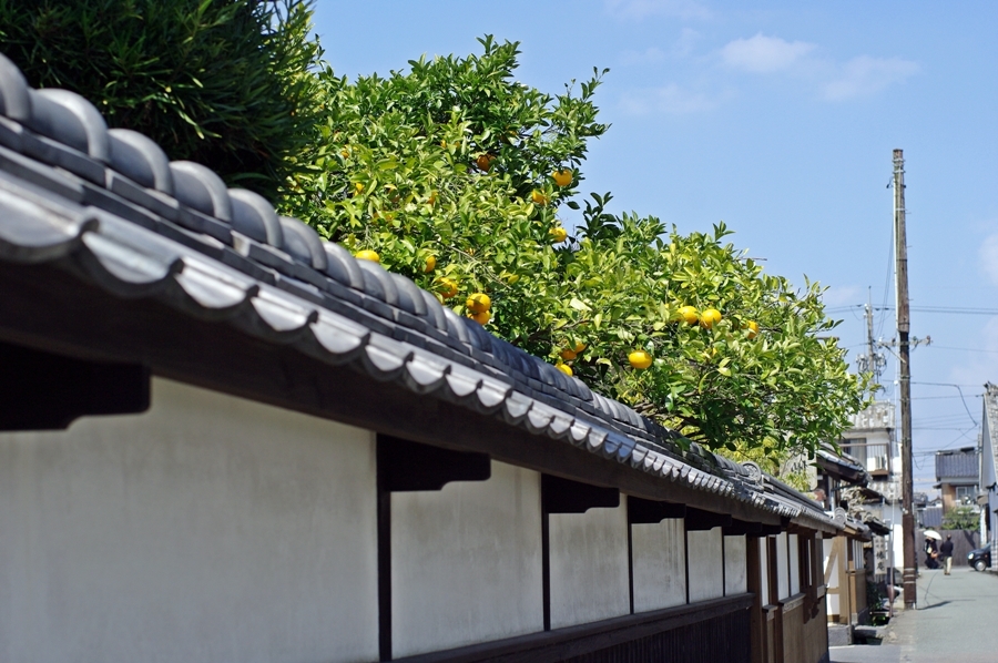 萩の武家屋敷