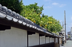 萩の武家屋敷