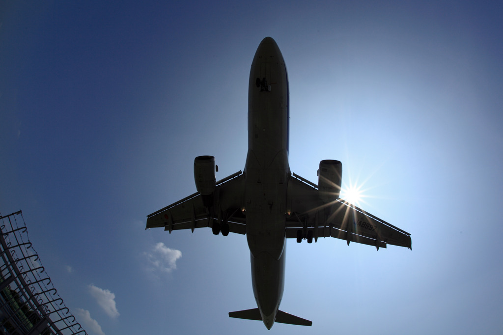 Shadow　of　Airplane