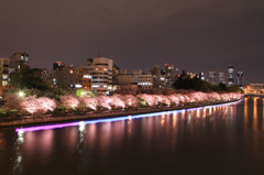 Sakura～水都大阪