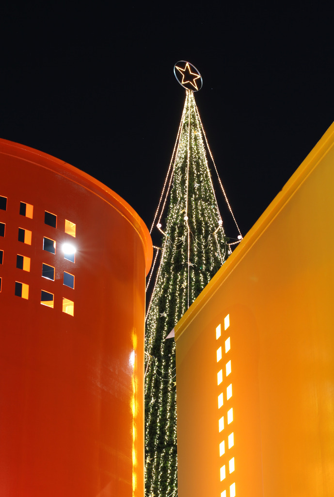 Yellow,OrangeCube&Tree