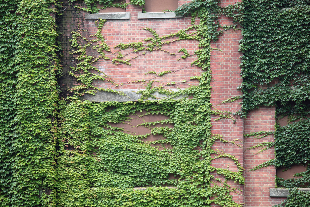 Bricks＆Ivy