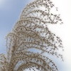 秋空にとける