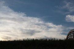 堤防の上の空