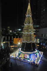 X'mas　Tree　Illumination