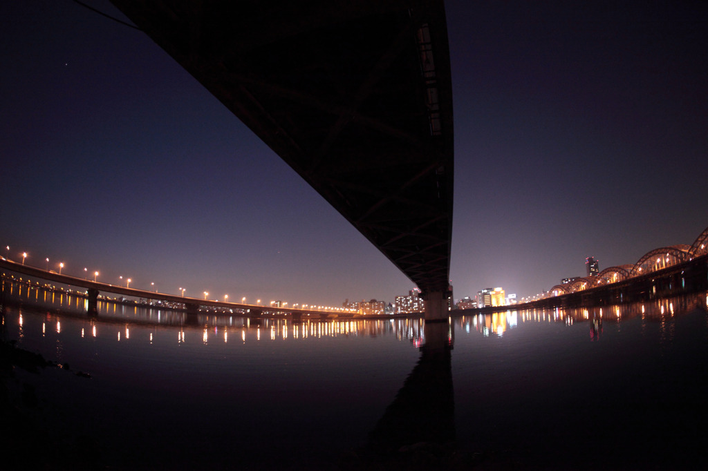 Bridge　of　Data
