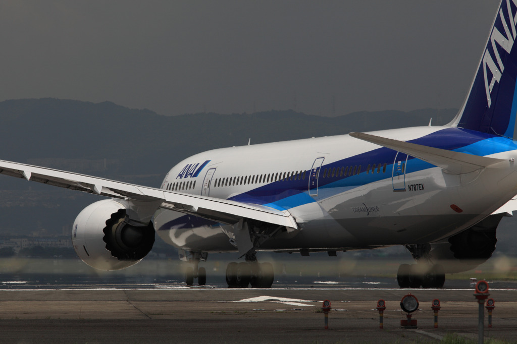 N787EX　DREAM　LINER