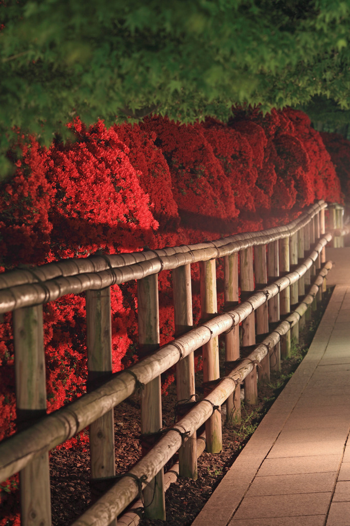 Red＆Green