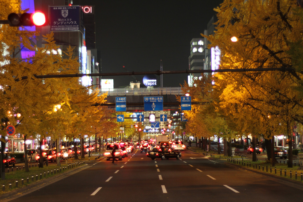Osaka　Mid　Way　（Tonbori）