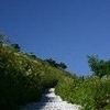 頂へと続く道