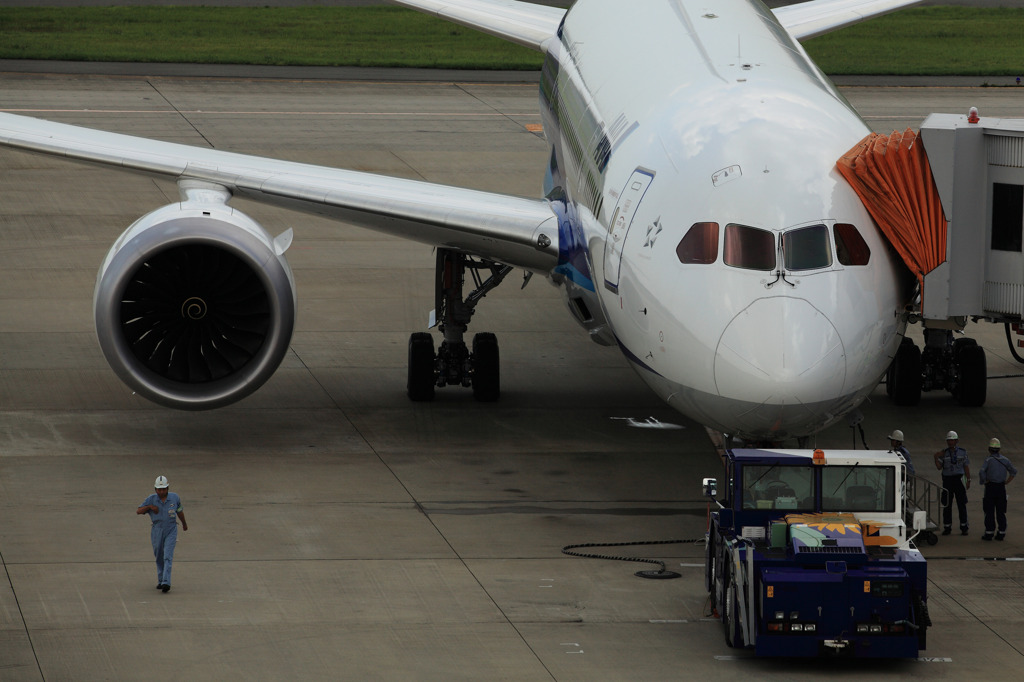 B787　空まで写るピカピカボディ