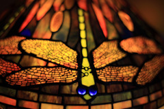 The　glasses　of　the　Dragonfry