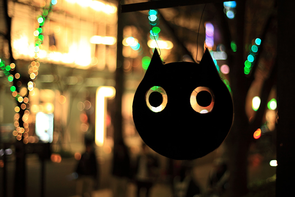 Cat　is　watching　you！