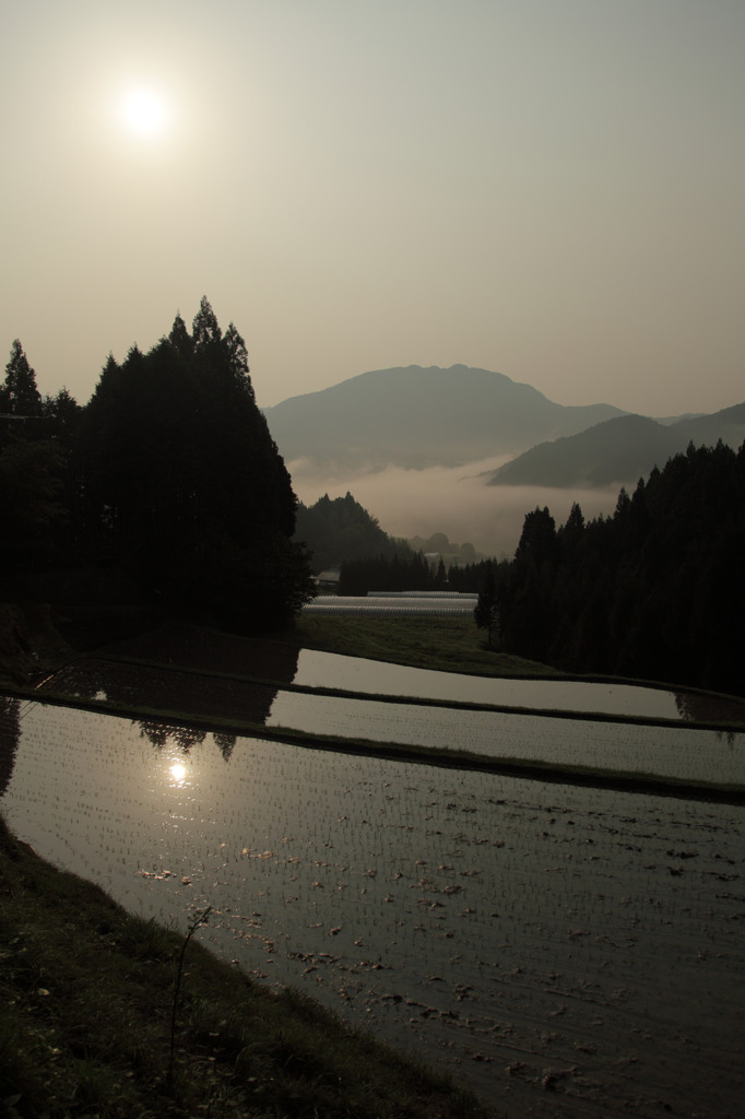山間の水田