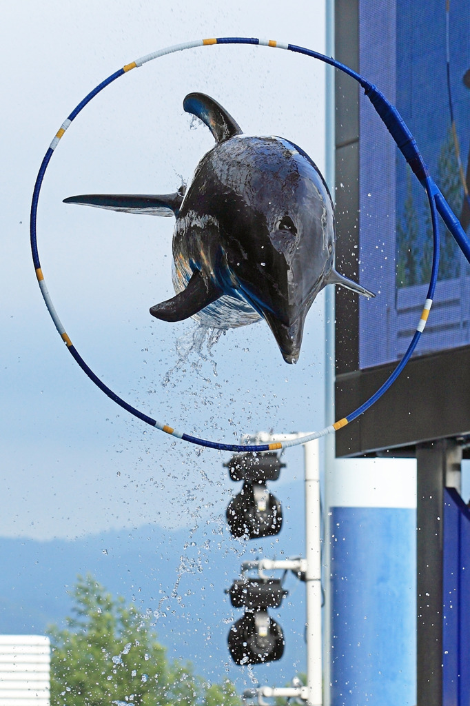 Jumping