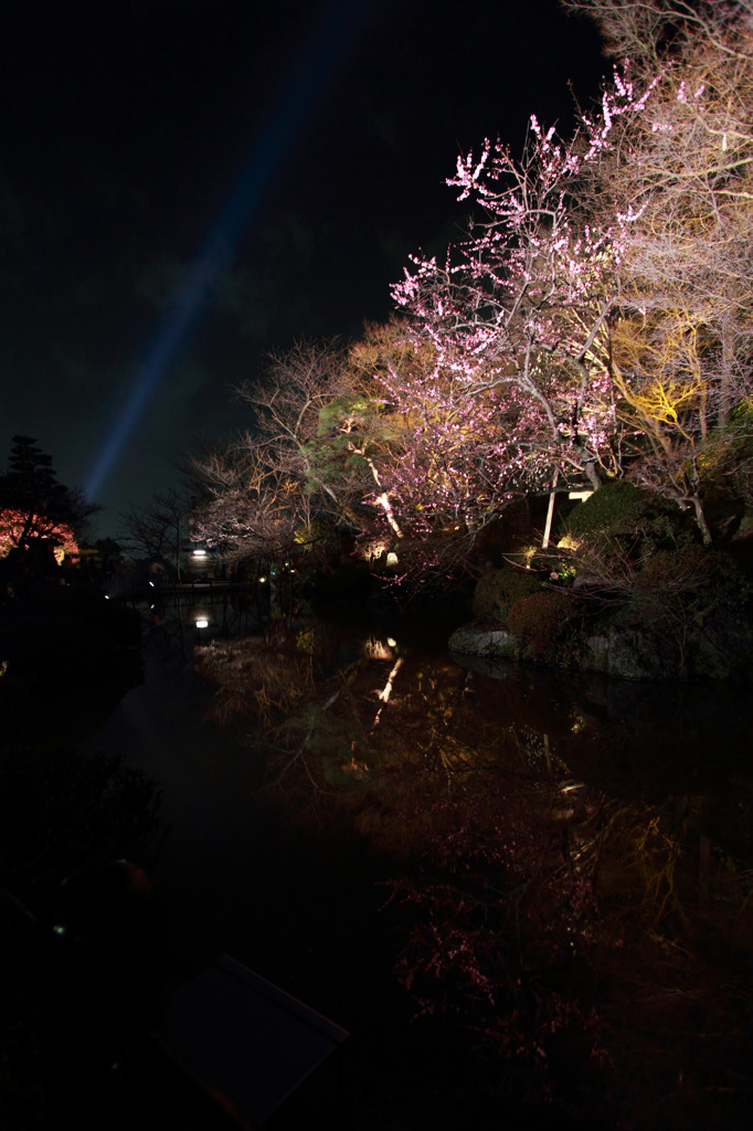 清水の池の畔にて