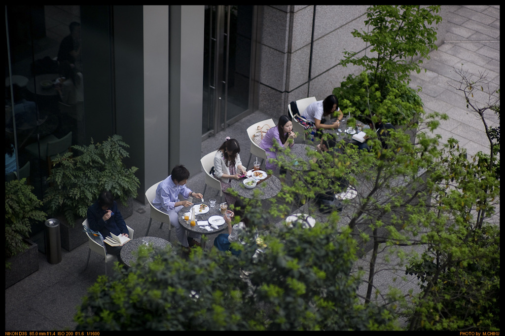 Ozone,West Shinjuku(Planar test)