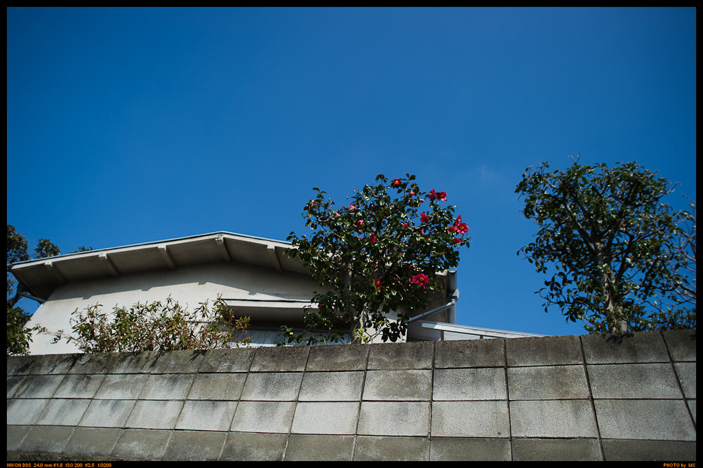 Common sight,Sengoku,Bunkyo-ku