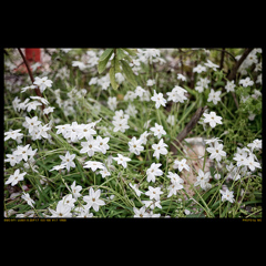 Day 04132010_2